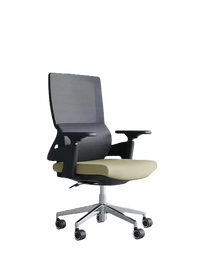 Neva Echo Chair