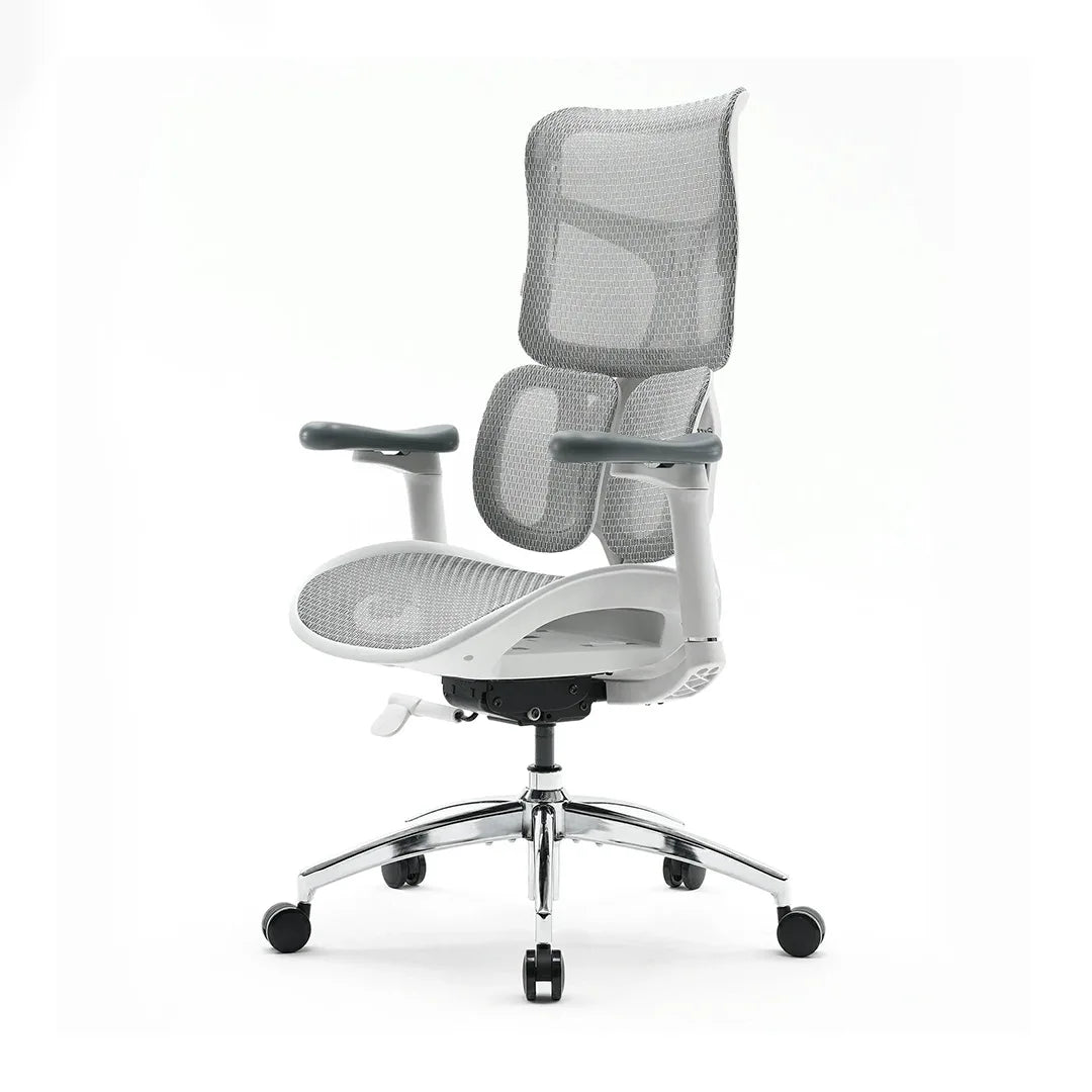 Sihoo S100 Chair ( Pre-book )