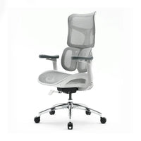 Sihoo S100 Chair ( Pre-book )