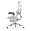 Sihoo Doro S300 "Gravity-Defying" Ergonomic Chair