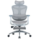 Sihoo C300 Ergonomic Office Chair