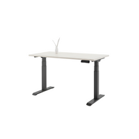 Standing Desk Pro (Dual Motor)