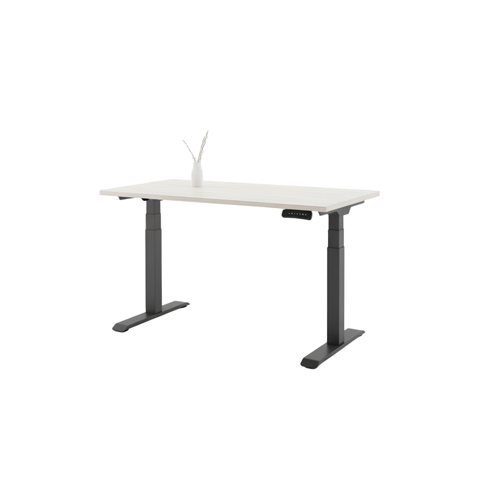 Standing Desk Pro (Dual Motor)