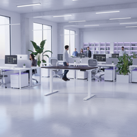 Standing Desk Pro (Dual Motor)