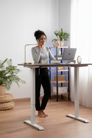 Neva Standing Desk (Single Motor)