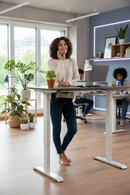 Neva Standing Desk (Single Motor)