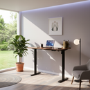 Neva Standing Desk (Single Motor)