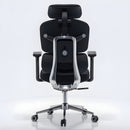 Axis Pro Chair