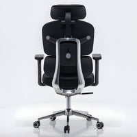 Axis Pro Chair