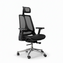 ErgoPro Chair