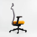 Neva Apex Chair