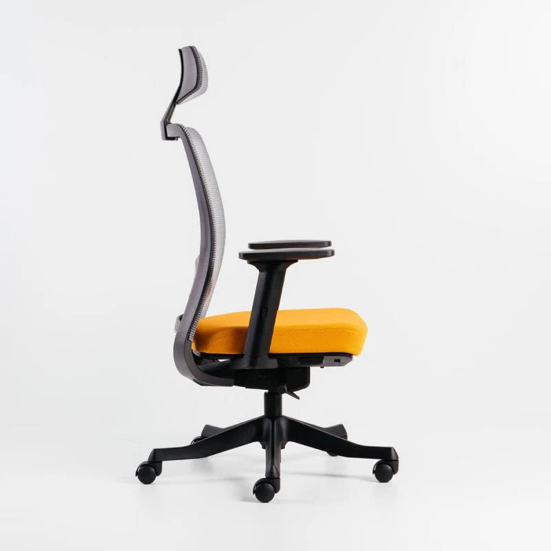 Neva Apex Chair