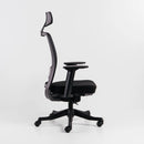 Neva Apex Chair