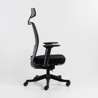Neva Apex Chair