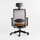 Neva Apex Chair