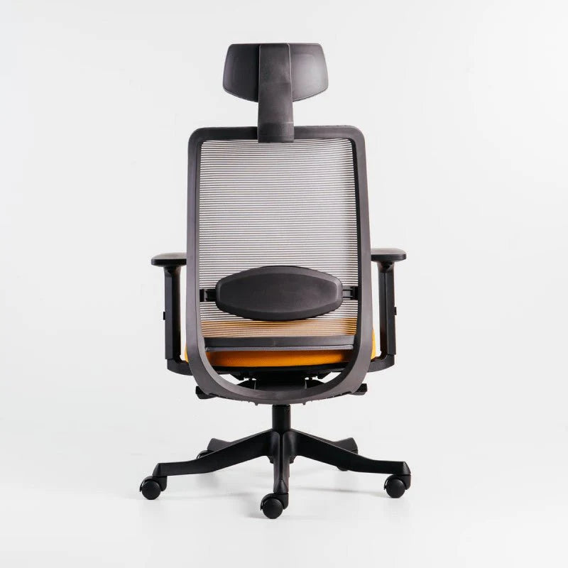 Neva Apex Chair