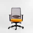 Neva Apex Chair