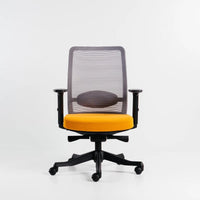 Neva Apex Chair