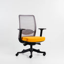 Neva Apex Chair