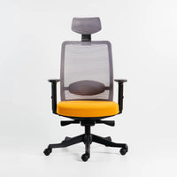 Neva Apex Chair