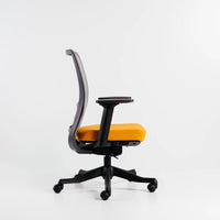 Neva Apex Chair