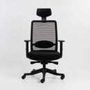 Neva Apex Chair