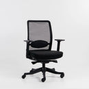 Neva Apex Chair