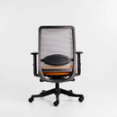 Neva Apex Chair