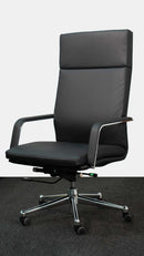 Neva Vision Chair
