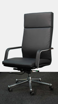 Neva Vision Chair