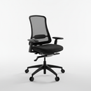 Flexispot Sheer Chair