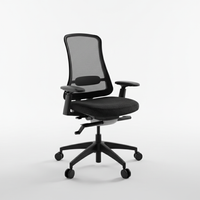 Flexispot Sheer Chair