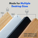 Neva X FlexiSpot Standing Desk Pro ( Dual Motor )