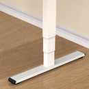 Neva X FlexiSpot Standing Desk Pro ( Dual Motor )