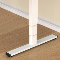 Neva X FlexiSpot Standing Desk Pro ( Dual Motor )