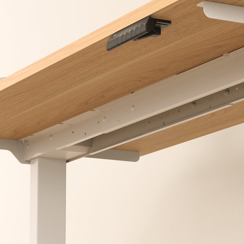 Neva X FlexiSpot Standing Desk Pro ( Dual Motor )