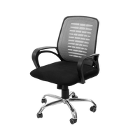 Neva Swift Chair