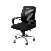 Neva Swift Chair