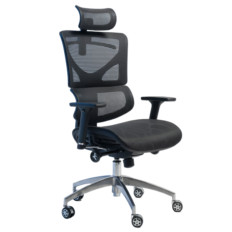 ForteX Chair