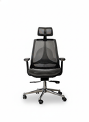 ErgoPro Chair