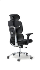 Axis Pro Chair