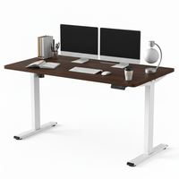 Neva X FlexiSpot Standing Desk ( Single Motor )