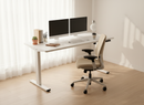 Neva X FlexiSpot Standing Desk ( Single Motor )