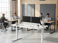 Neva X FlexiSpot Standing Desk ( Single Motor )