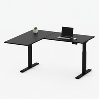 Neva X FlexiSpot L shape Standing Desk