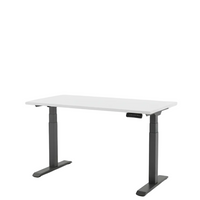 Standing Desk Pro (Dual Motor)
