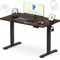 Neva X FlexiSpot Standing Desk ( Single Motor )