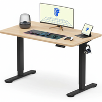 Neva X FlexiSpot Standing Desk ( Single Motor )
