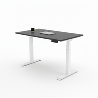 Standing Desk Pro (Dual Motor)
