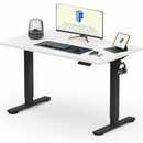 Neva X FlexiSpot Standing Desk ( Single Motor )
